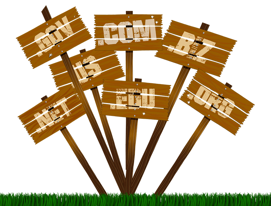 Wooden signpost cluster showing domain extensions including .com, .net, .org, .edu and .biz