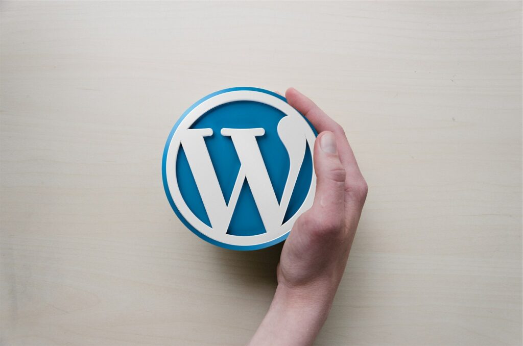 Hand holding a 3D WordPress logo icon against a light background