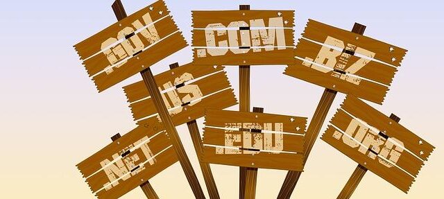 Weathered wooden signposts showing domain extensions .com, .net, .org, .biz and others against a sunset sky