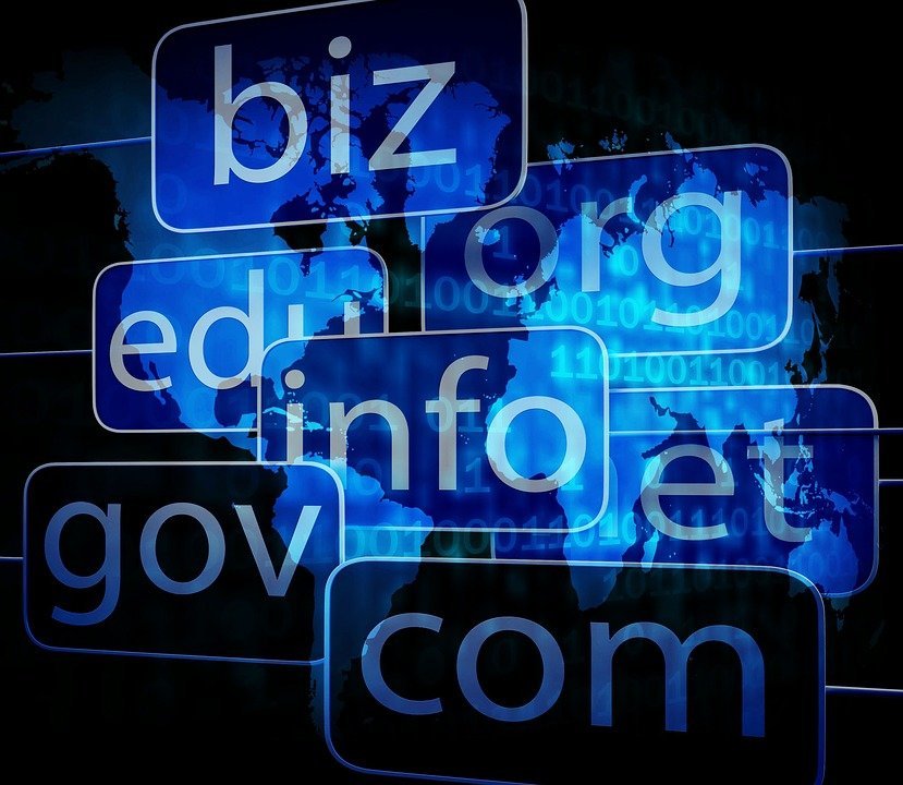 Digital illustration of domain name extensions including .org, .info, .gov, .biz overlaid on a world map with binary code