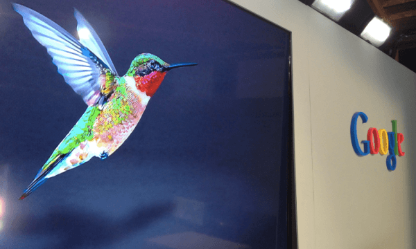 Colourful hummingbird in flight displayed on a large Google-branded exhibition wall, representing the Google Hummingbird algorithm update