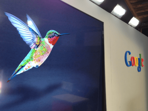 Colourful hummingbird in flight displayed on a large Google-branded exhibition wall, representing the Google Hummingbird algorithm update