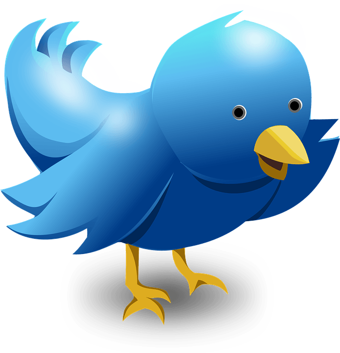 Cartoon Twitter bird mascot in blue with yellow beak and feet on white background