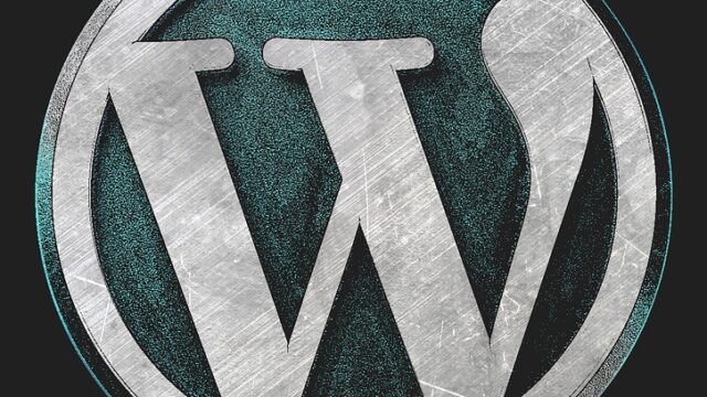 WordPress logo rendered in metallic silver and teal on black background, representing custom vs pre-made themes