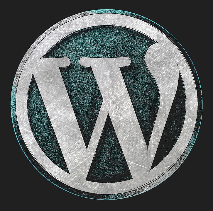 WordPress logo rendered in metallic silver and teal on black background, representing custom vs pre-made themes